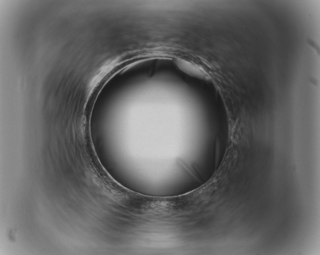 X0000102870152200808251249