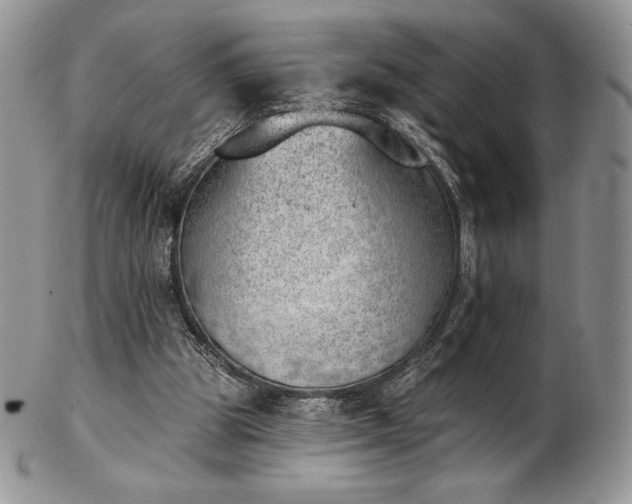 X0000102870153200808251249