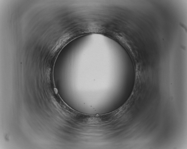 X0000102870154200808251249