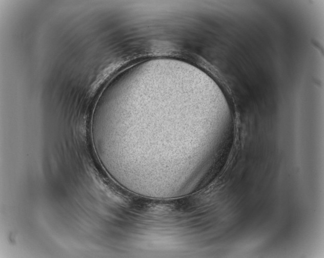 X0000102870155200808251249