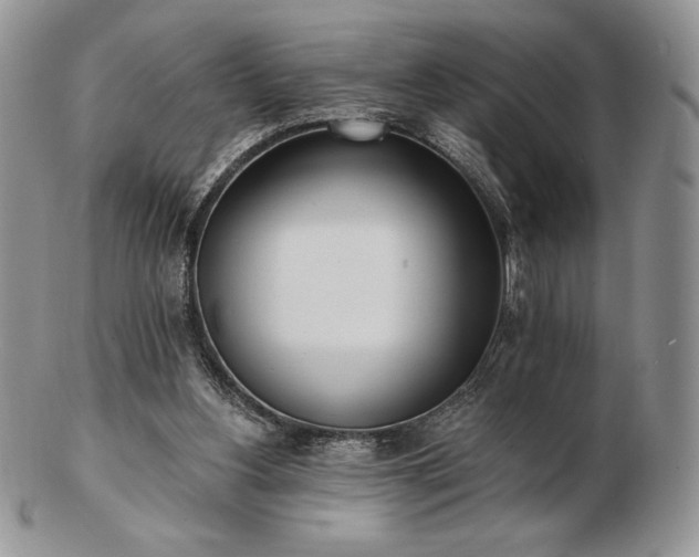 X0000102870156200808251249