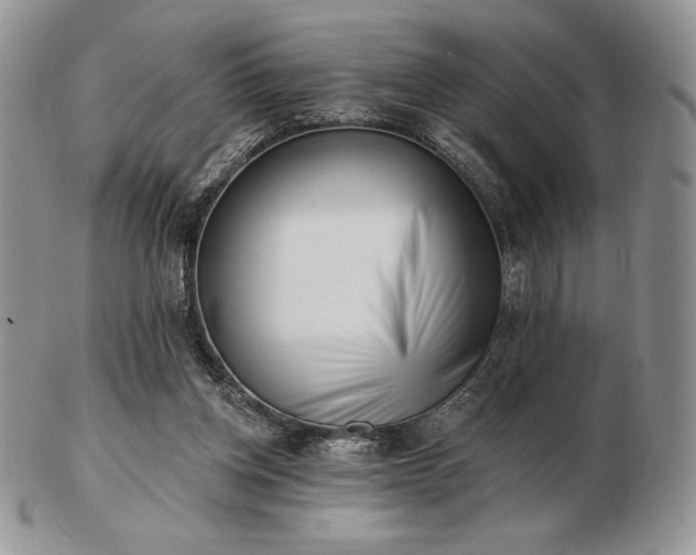 X0000102870158200808251249