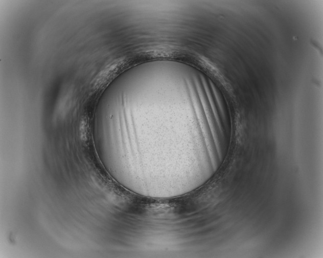 X0000102870161200808251249