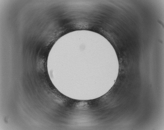 X0000102870162200808251249