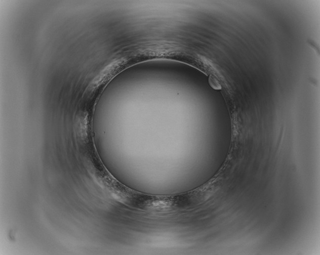 X0000102870163200808251249