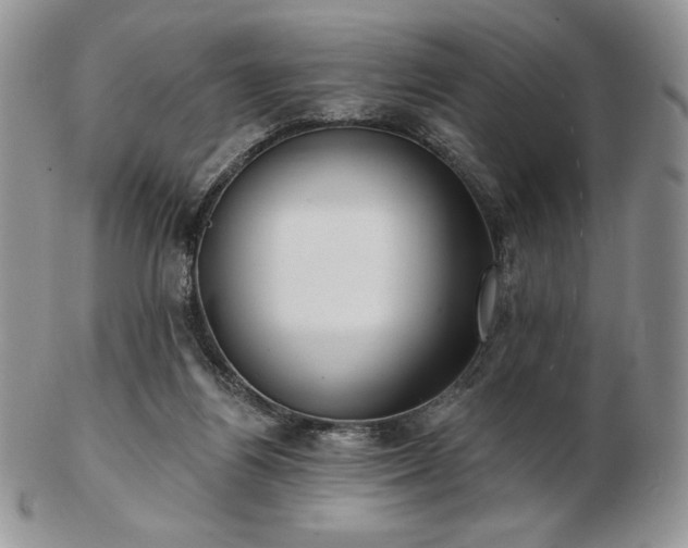 X0000102870164200808251249