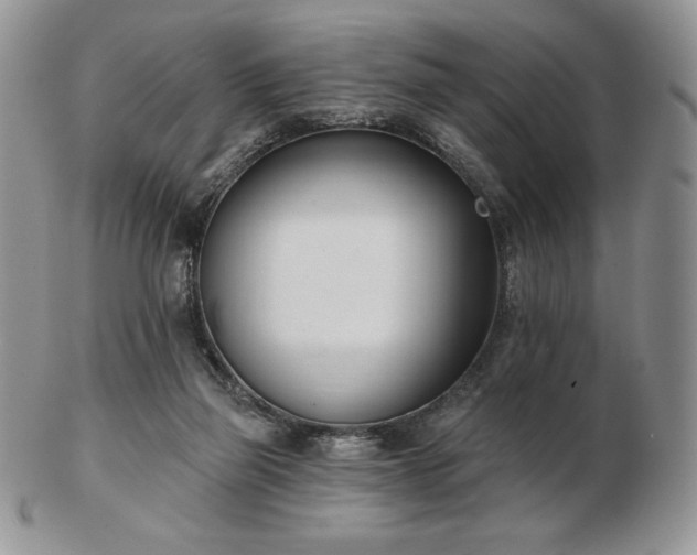 X0000102870165200808251249