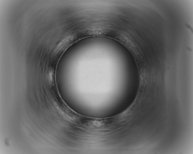 X0000102870166200808251249