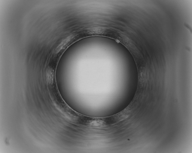 X0000102870168200808251249