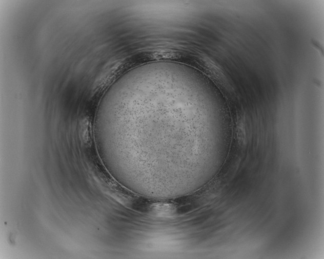 X0000102870169200808251249