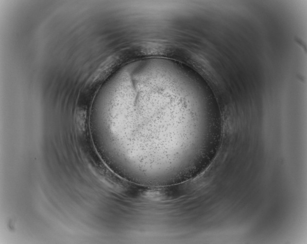 X0000102870171200808251249