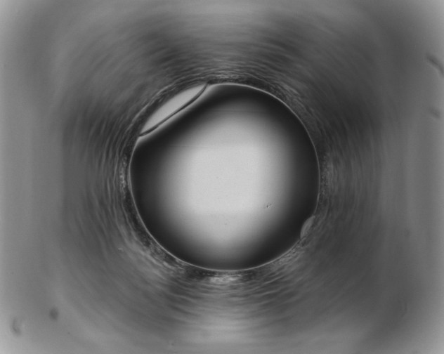 X0000102870172200808251249