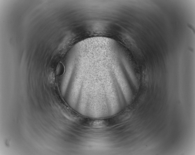 X0000102870173200808251249