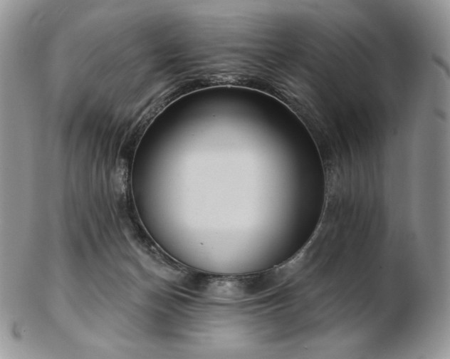 X0000102870174200808251249