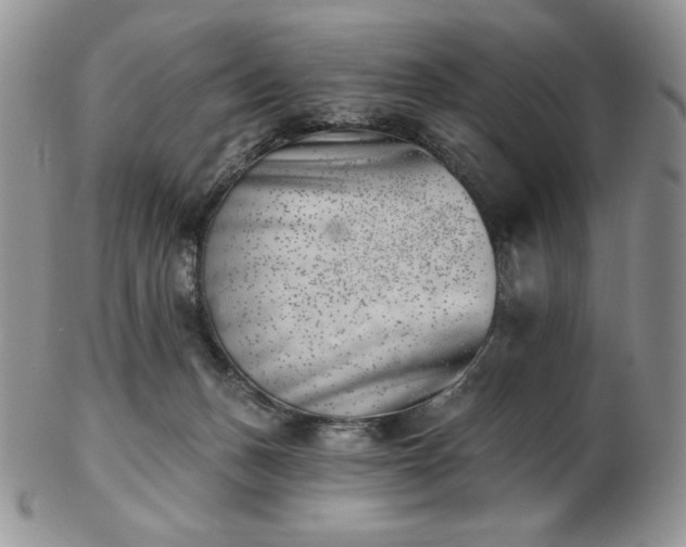 X0000102870175200808251250