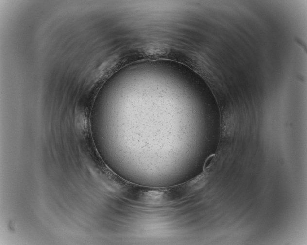 X0000102870176200808251250