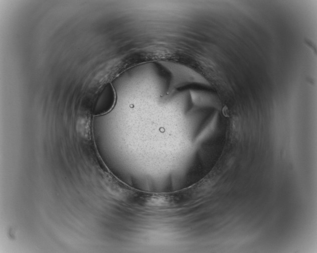 X0000102870177200808251250