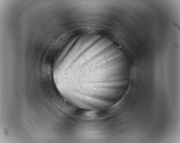 X0000102870178200808251250