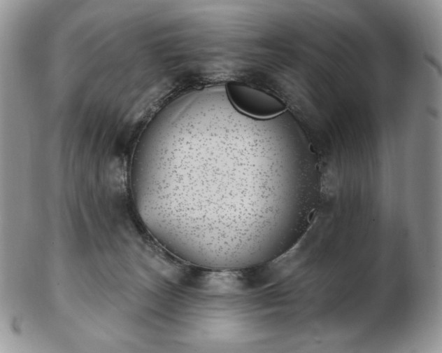 X0000102870179200808251250