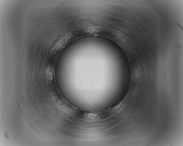 X0000102870180200808251250