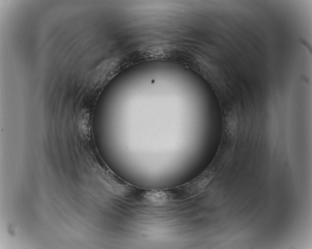 X0000102870181200808251250