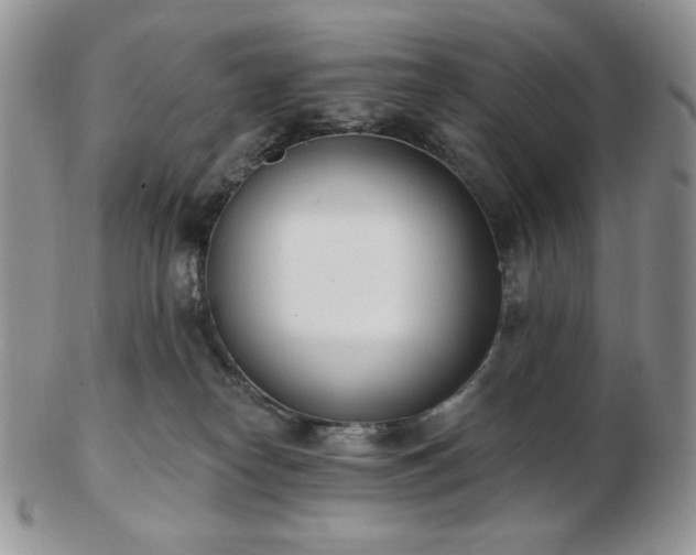 X0000102870182200808251250