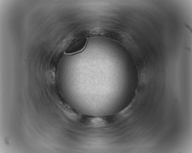 X0000102870183200808251250