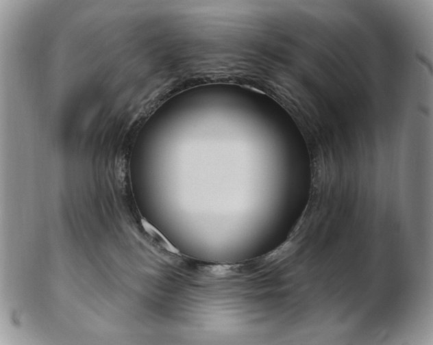 X0000102870184200808251250