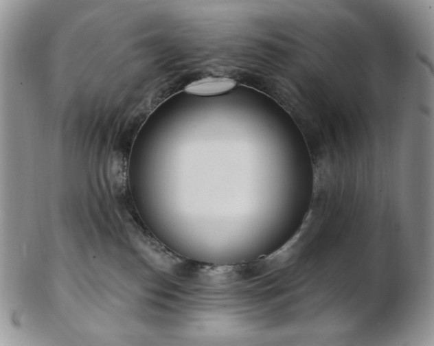 X0000102870186200808251250