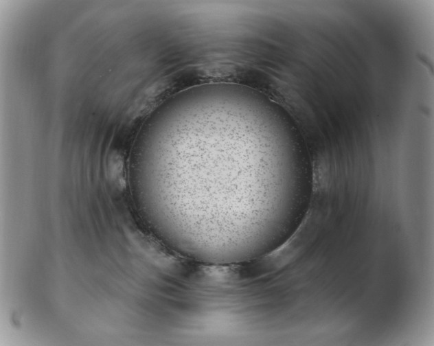 X0000102870187200808251250