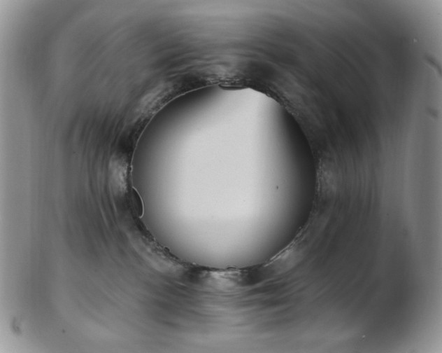 X0000102870188200808251250