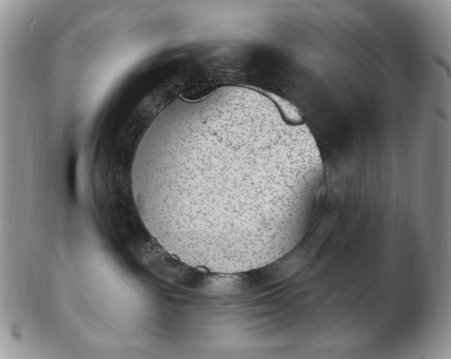 X0000102870189200808251250