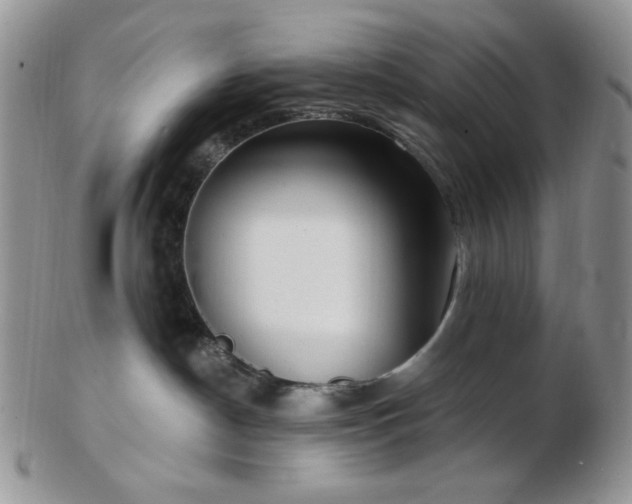 X0000102870190200808251250