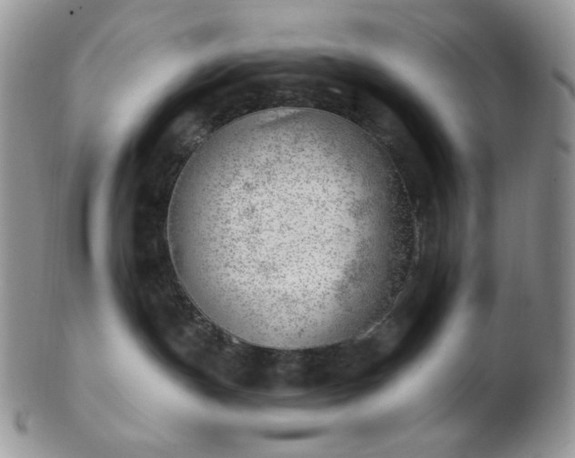 X0000102870191200808251250