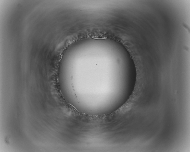 X0000102870192200808251250