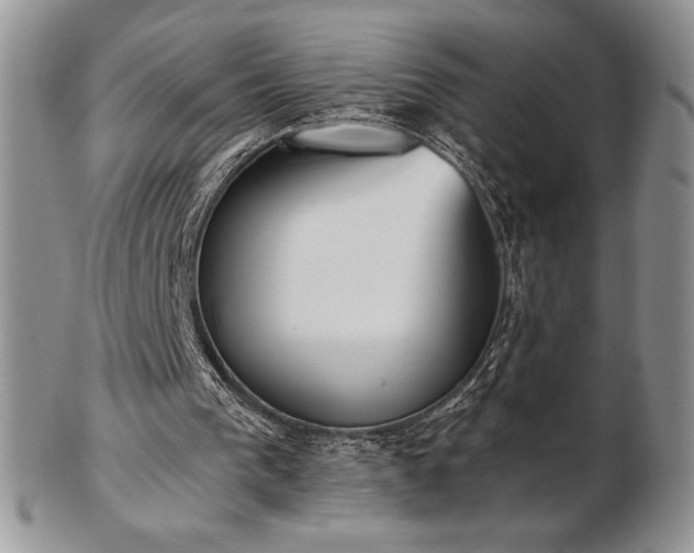 X0000102870193200808251249