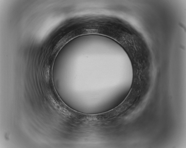 X0000102870194200808251249