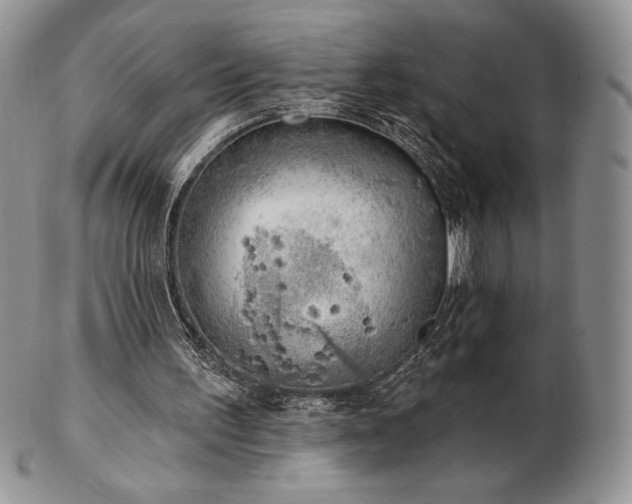 X0000102870195200808251249