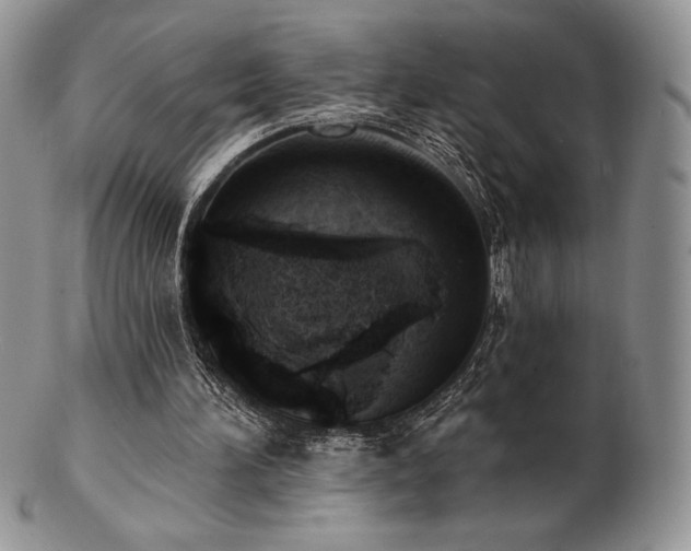 X0000102870196200808251249