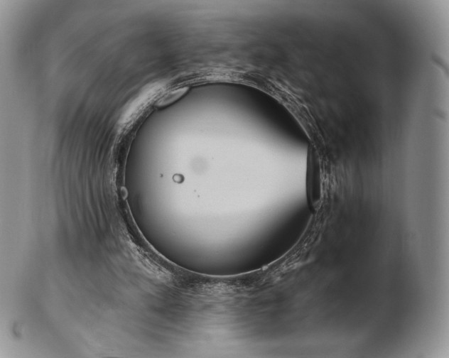 X0000102870197200808251249