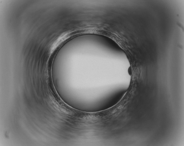 X0000102870198200808251249