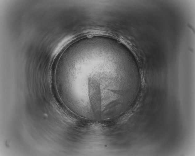 X0000102870199200808251249