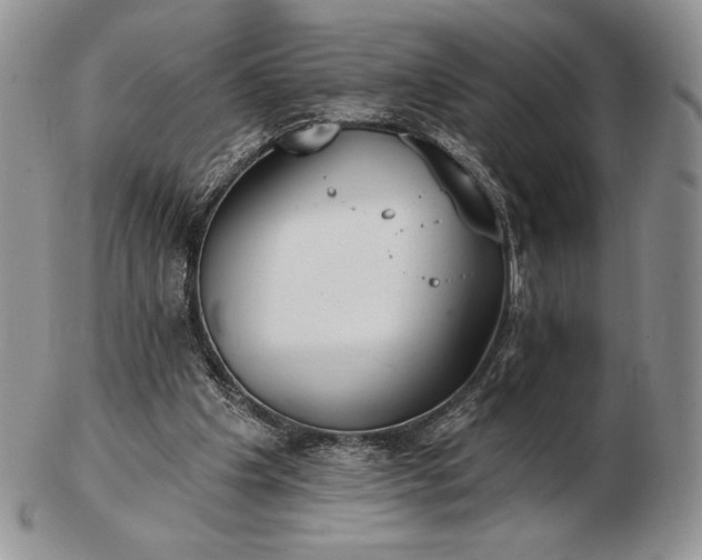 X0000102870201200808251249