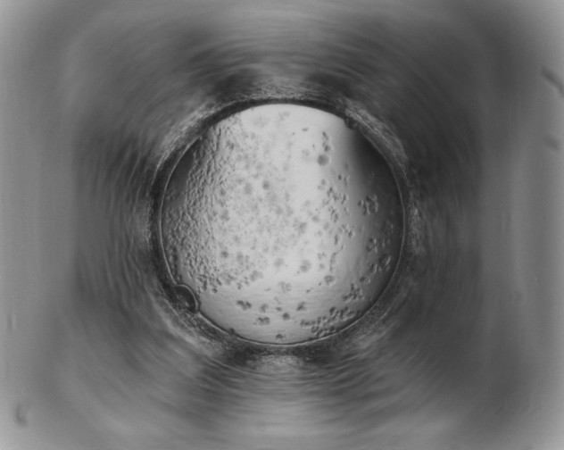 X0000102870203200808251249