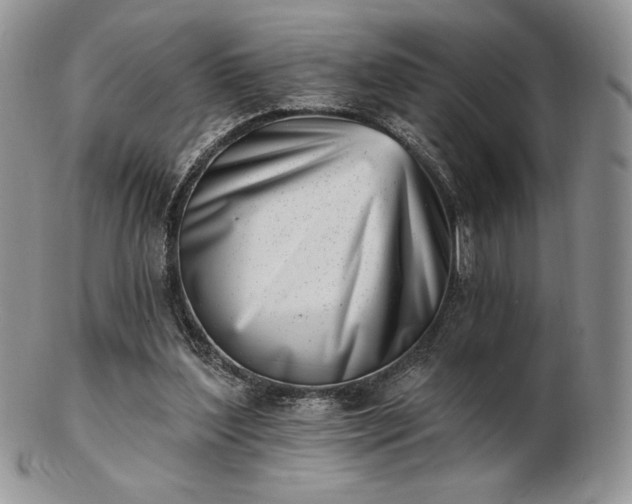 X0000102870204200808251249