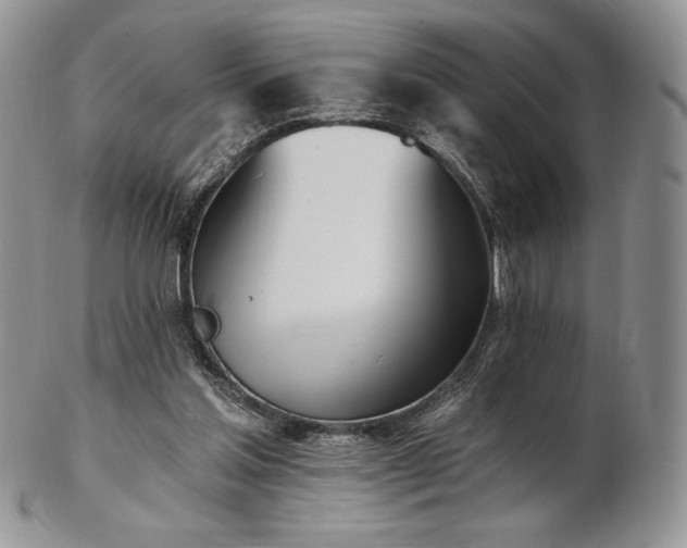 X0000102870205200808251249