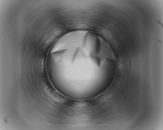 X0000102870206200808251249