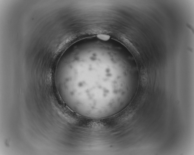 X0000102870207200808251249