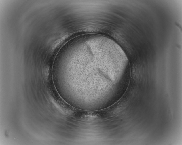 X0000102870208200808251249