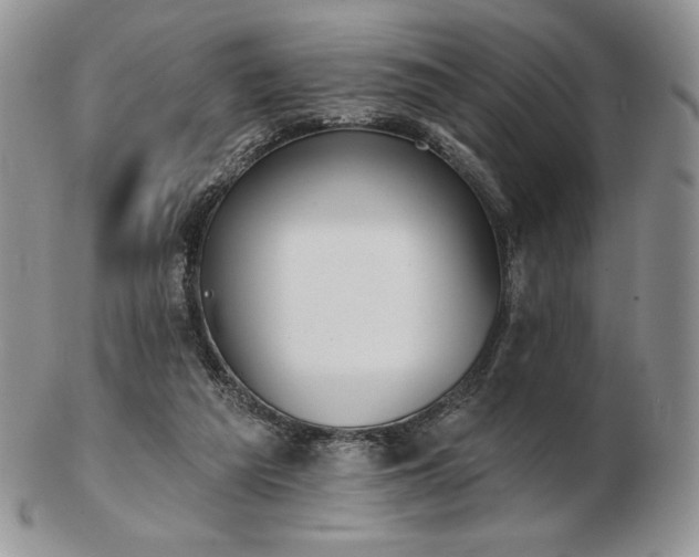 X0000102870209200808251249